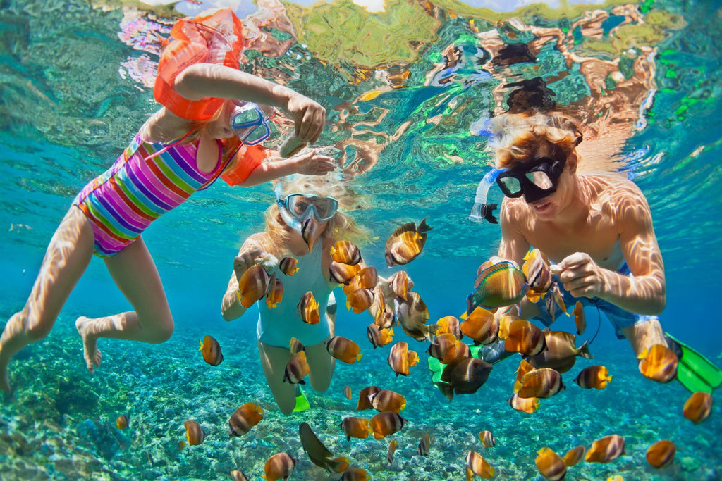 Dive into Adventure: The Top Family-Friendly Snorkeling Destinations