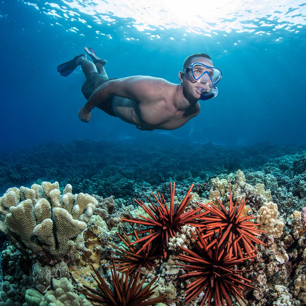 Coral Reef Etiquette when Snorkeling or Scuba Diving by Seavenger 