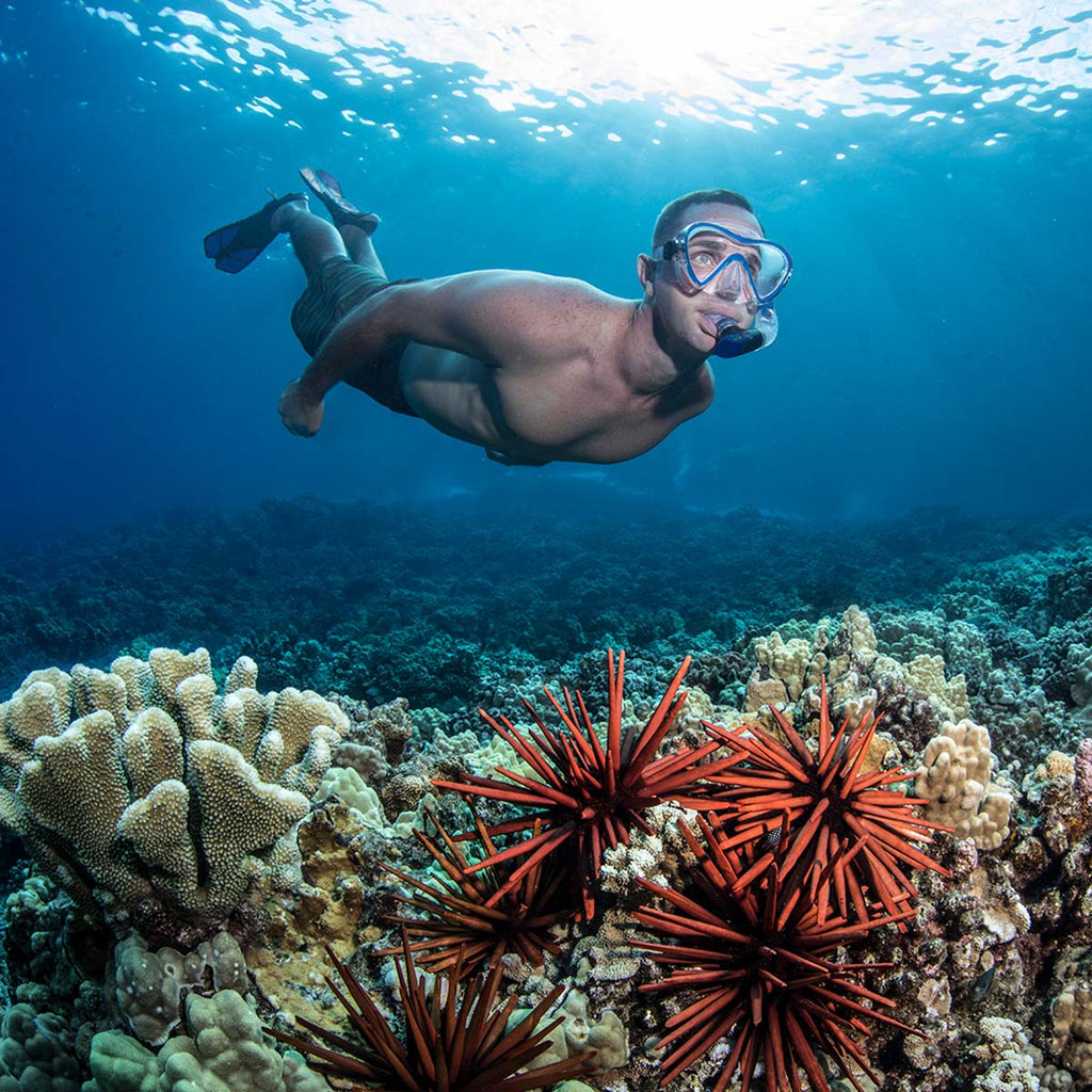 Mastering Open Water Snorkeling Skills